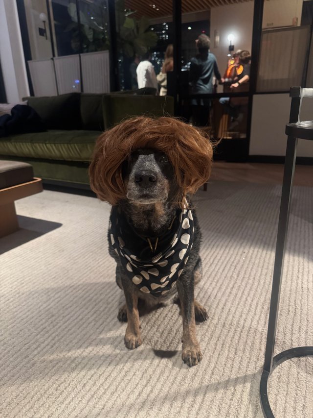 Halloween covers party