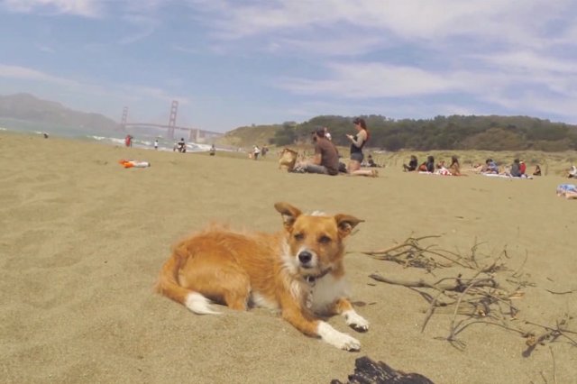 Charlie Browner | Baker Beach