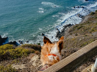 Charlie Browner | Muir Beach
