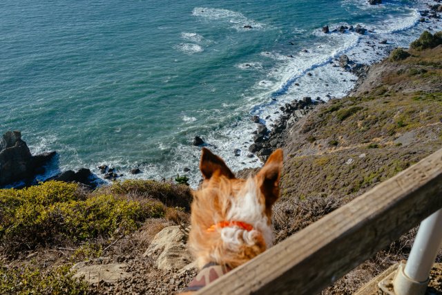 Charlie Browner | Muir Beach