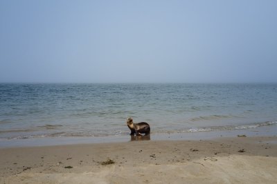 Chimney Rock Release