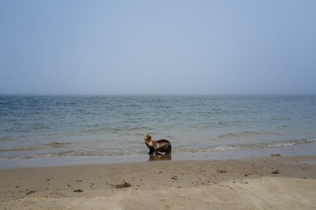 Chimney Rock Release