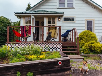 The Pines are Dancing